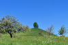 Drumlin bei Blachen