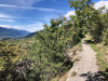an der Mengis Suone