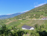 Sicht von der Kirche von Varen auf dei Rebberge Sicht von der Kirche von Varen auf dei Rebberge