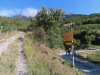 hinauf zum Wanderweg hinauf zum Wanderweg