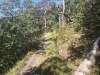 an der Mengis Suone an der Mengis Suone