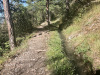 an der Mengis Suone an der Mengis Suone
