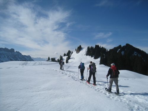 farneren_wi_500 farneren_wi_500