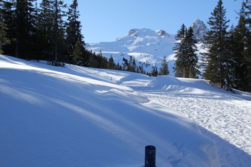 IMG_2877_winter_12_01