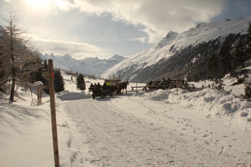 IMG_3409_pont_12_500