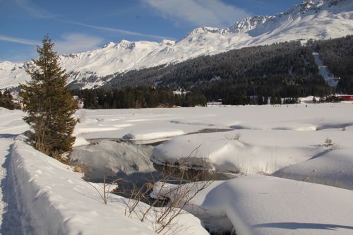 IMG_8896_ lenzerh_1_14_500