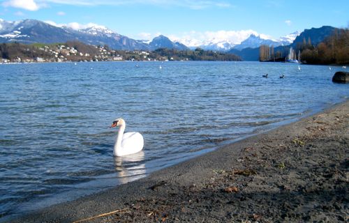 IMG_1337_luzern_500
