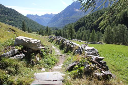 IMG_1305_simplon_500