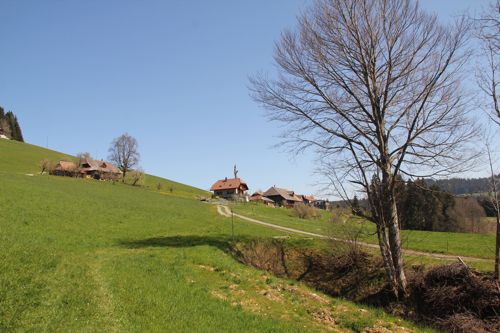 IMG_3526_röthenbach_500