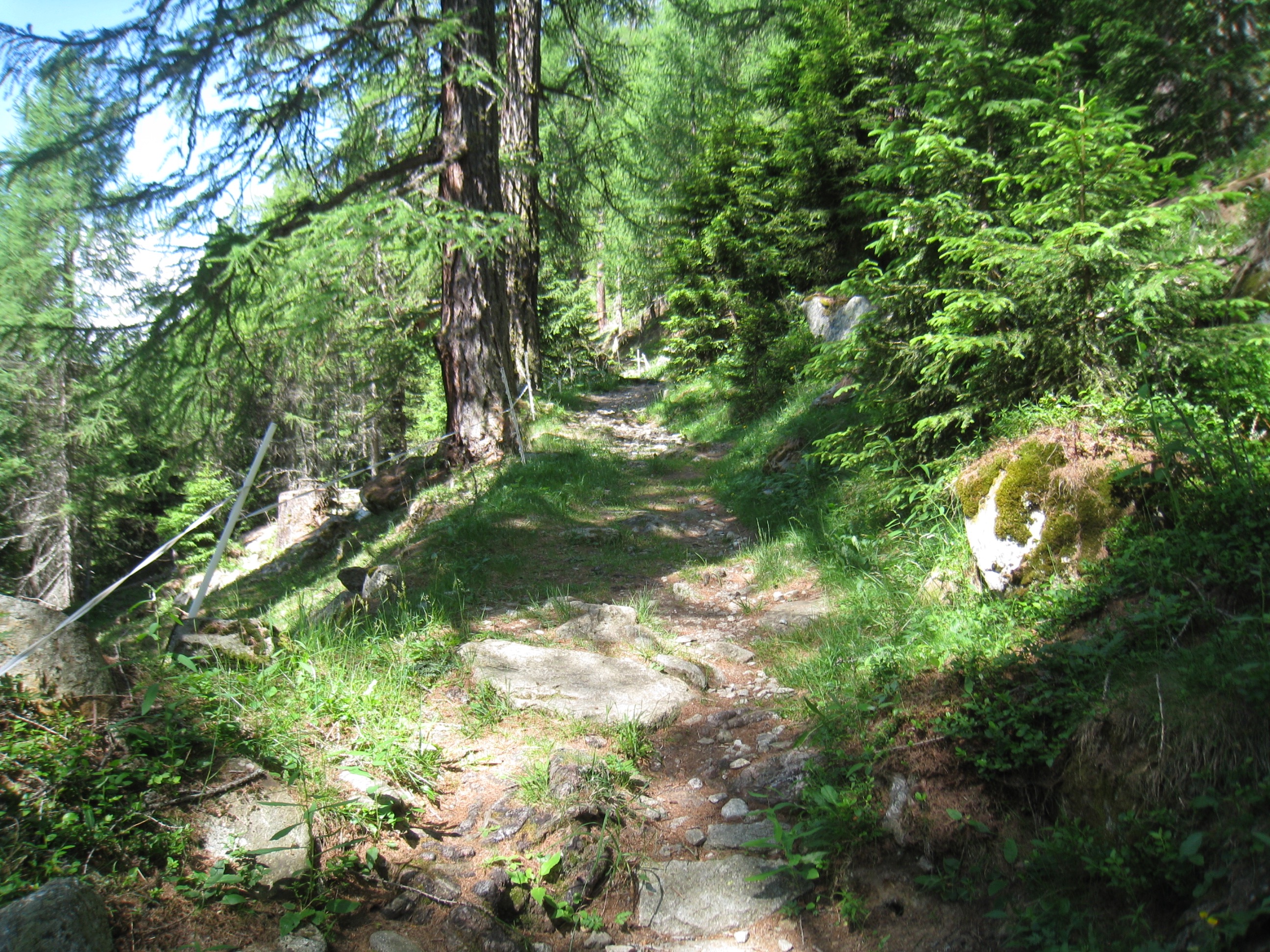 ein schöner Wanderweg