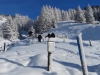 im tief verschneiten Sur 1610m; Einstieg in den Schneeschuhtrail
