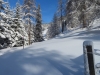 tief verschneiter Bergwald