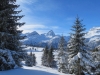 Winterstimmung auf der Alp Flix; Pkt. 2792m, Piz Platta, 3392m, TÃ¤ligrat 3143m, Usser Wissberg 3053m, Piz Forbesch  3226m