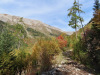 Bisse  de Bitailla; Weg ins Tal der Sionne Bisse  de Bitailla; Weg ins Tal der Sionne