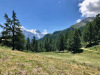 auf der Moposalp;2048m;  Platthorn 3246, Dom 4545m, Dürrenhorn 2035m