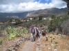 unterwegs  Im Tal von Santa Bartolome de Tirajana