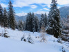 Winterzauber Winterzauber