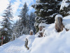 auf dem Winterwanderweg auf dem Winterwanderweg