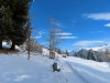 Schatzalp; auf dem Sonnenweg Schatzalp; auf dem Sonnenweg