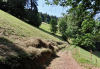 endlich aus dem Wald heraus