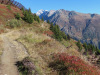 auf dem Wanderweg; Wasenhorn 3447m,  Vorder Galmihorn 3507m, Setzehorn 3061m, Täschehorn 3008m, Risihorn 2875m auf dem Wanderweg; Wasenhorn 3447m,  Vorder Galmihorn 3507m, Setzehorn 3061m, Täschehorn 3008m, Risihorn 2875m