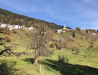 Blick auf Trin,Mulin