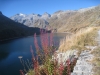 Lago di Lucendro 2134m, Pizzo Lucendro 2963m, Stegenhorn 2709m, Siwerbenhorn 2764mLago di Lucendro 2134m