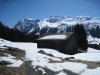 Alp "Alp"  1515m: Canardhorn 2607m, Wisshorn 2668m, Lauizughorn 2469m