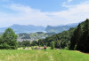 Sicht auf die Rigi und den Bürgenstock