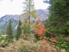 Herbstlandschaft Herbstlandschaft