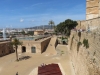 Blick auf den Hafen von Palma