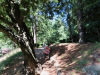 Parco Michele