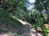 der Wanderweg nach Aldesago