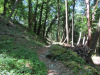 der Wanderweg nach Aldesago