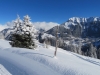 tiefster Winter auf dem Weg zur Winteregg; Blick auf Wengen und MÃ¤nnlichen