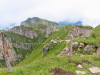 Blick auf das Gemmenalphorn  2061m