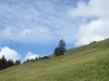 Alp Neuwald 1317m