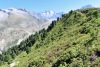 erster Blick auf den Aletschgletscher