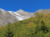 die Lärchen sind noch nicht gelb; Ulrichshorn 3925m die Lärchen sind noch nicht gelb; Ulrichshorn 3925m