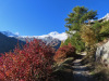 Herbststimmung; Allalinhorn 4027m, Feechopf 3888m, Alphubel 4206m Herbststimmung; Allalinhorn 4027m, Feechopf 3888m, Alphubel 4206m