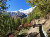 Herbststimmung; Alphubel 4206m; Suone Unnerwasser Herbststimmung; Alphubel 4206m; Suone Unnerwasser
