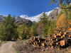Herbstbildmit: Allalinhorn 4027m, Feechopf 3888m, Alphubel 4206m, Täschhorn 4490m Herbstbildmit: Allalinhorn 4027m, Feechopf 3888m, Alphubel 4206m, Täschhorn 4490m