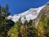 Herbstbild mit: Alphubel 4206m, Täschhorn 4490m Herbstbild mit: Alphubel 4206m, Täschhorn 4490m
