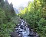 Saxetbach