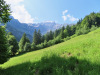 WW Rengglipass: Morgenberghorn 2248m