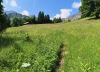 gegen  Ramsermatten 1387m;  Burg 1947m, Rengghorn 2013m