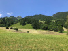 Morgenberghorn