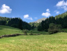 Morgenberghorn 2248m