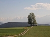 Aussichtspunkt BallebÃ¼el  mit Berner  Alpen; keine gute Alpensicht