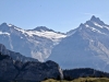 Wetterhorn 3704m, Mittelhorn 3704m, BÃ¤rglistock 3656m, Kl.Schreckhorn 3494m,  Schreckhorn 4078m, Lauteraarhorn 4042m
